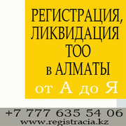 Ликвидация ТОО в Алматы