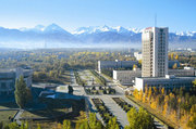 Бесплатная юридическая консультация