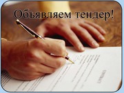 Подготовка пакета документов на тендер